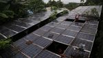 Sedih! PLTS di Ternate Rusak, Solar Panel Dimakan Ranting Pohon
