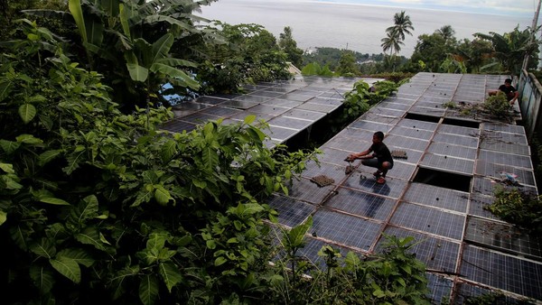 Sedih! PLTS di Ternate Rusak, Solar Panel Dimakan Ranting Pohon