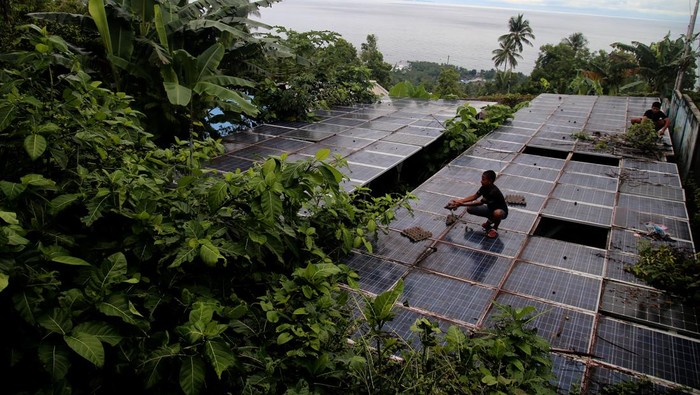 Sedih! PLTS di Ternate Rusak, Solar Panel ‘Dimakan’ Ranting Pohon Dua orang anak membersihkan rumput di sekitar panel Pembangkit Listrik Tenaga Surya (PLTS) yang rusak di Kelurahan Foramadiahi, Kota Ternate, Maluku Utara, Sabtu (15/7/2023). Menurut warga setempat, PLTS yang dipergunakan untuk menghidupkan pompa air sudah ada sejak tahun 2015 dan tiga tahun tidak beroperasi karena inverter rusak sehingga membutuhkan perawatan dan perbaikan oleh Pemerintah setempat agar kembali normal sehingga warga yang berada di dataran tinggi dapat dialiri air untuk kebutuhan sehari-hari. ANTARA FOTO/Andri Saputra/foc.