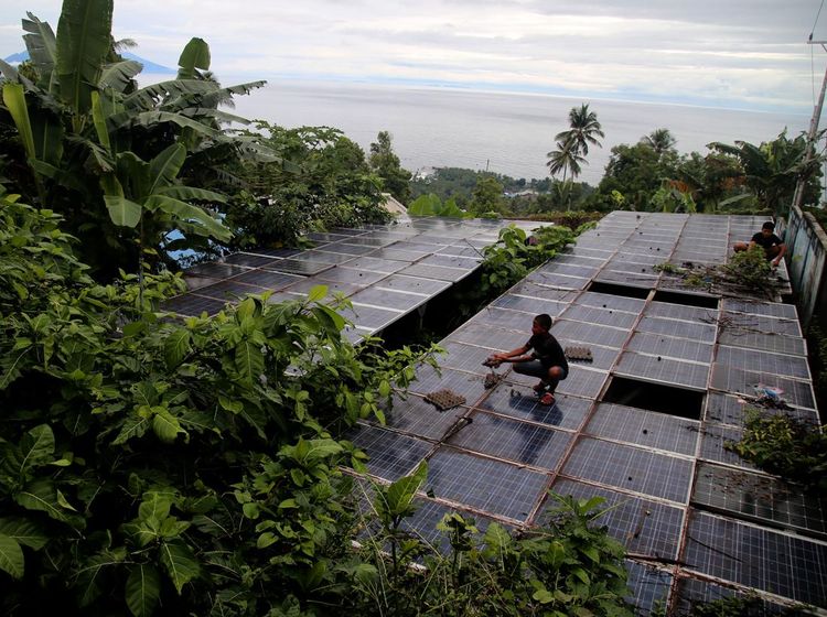 Sedih! PLTS di Ternate Rusak, Solar Panel Dimakan Ranting Pohon