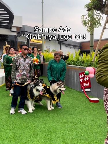 Sepasang anjing viral di media sosial karena baru saja menggelar acara pernikahan mewah mendadak jado sorotan.