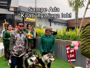 Viral Pernikahan Anjing Habiskan Dana Rp 200 Juta, Digelar Pakai Adat Jawa