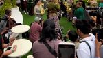 10 Potret Pernikahan Anjing Viral dengan Adat Jawa, Habiskan Biaya Ratusan Juta