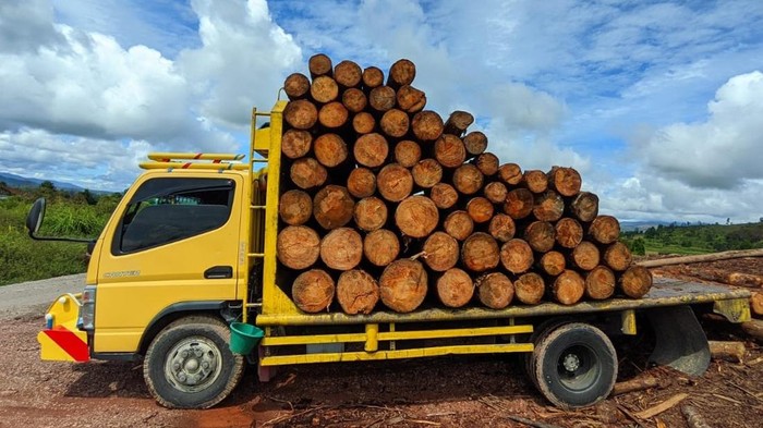 Truk pengangkut kayu illegal logging diamankan DLH Sumut
