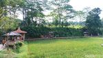 Butuh Ide Wisata Keluarga di Bekasi? Cobain Wisata Kampoeng Kita