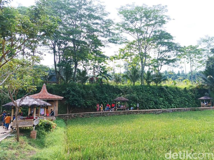 Butuh Ide Wisata Keluarga di Bekasi? Cobain Wisata Kampoeng Kita