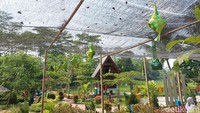 Tempat ini bisa jadi opsi spot untuk healing. Karena banyak hijau-hijau dari pepohonan dan area sawah yang dapat menyejukkan mata. (Weka Kanaka/detikcom)
