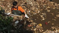 Mereka nyemplung ke sungai untuk membersihkan sampah.  