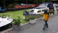 Seorang pejalan kaki berjalan melewati kanal yang tampak berwarna hijau di Paddington Central, London, Inggris, Jumat (14/7/2023).  