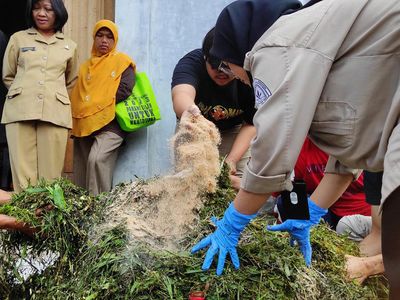 Mahasiswa IPB Kenalkan Teknologi Pengolahan Pakan Silase di Banjarnegara