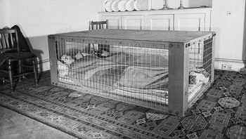 Suami istri di Inggris ini tidur di ranjang khusus Morrison Shelter di tengah pengeboman Nazi di Perang Dunia II. Jadi jika rumah hancur kena bom, mereka bisa selamat. Foto: Bored Panda