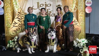 10 Potret Pernikahan Anjing Viral dengan Adat Jawa, Habiskan Biaya Ratusan Juta
