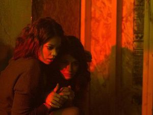 Sinopsis Film Viral: Kisah Dua Bersaudara Menghadapi Virus Mengerikan