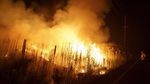Potret Ngeri Api Kebakaran Hutan Membara di California Selatan
