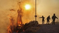 Kebakaran hutan di Yunani saat ini terjadi ketika gelombang panas melanda Eropa. Kebakaran khususnya terjadi di kota resor Loutraki, sekitar 90 kilometer sebelah barat ibu kota Athena.  