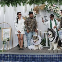 Pasangan anjing berjenis husky itu melangsungkan pernikahan di dog park kawasan Pantai Indah Kapuk Jakarta Utara, Jumat (14/7/2023) mulai pukul 16.00 hingga 21.00 WIB. Kedua anjing ini dinikahkan oleh pemiliknya Valentina Chandra (pemilik Jojo) dan Indira Ratnasari (pemilik Luna) seperti acara pernikahan manusia pada umumnya. Foto: Copyright Foto: (CNN Indonesia/Safir Makki).