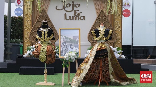 Dikutip dari CNN Indonesia, sepasang anjing yang pernikahannya viral ini diketahui bernama Jojo dan Luna. Pernikahan sepasang anjing ini disebut menghabiskan biaya Rp 200 juta. Namun semua biaya pernikahan anjing tersebut sebagian besar sudah ditanggung sponsor. Foto: Copyright Foto: (CNN Indonesia/Safir Makki).