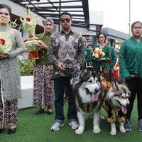 Para pecinta binatang salah satunya anjing, biasanya rela mengeluarkan biaya lebih untuk hewan peliharaannya. Termasuk biaya perawatan dan lainnya. Seperti pecinta anjing ini yang rela mengeluarkan uang Rp 200 juta bukan hanya sekadar untuk perawatan tapi acara pernikahan anjingnya. Foto: Copyright Foto: (CNN Indonesia/Safir Makki).