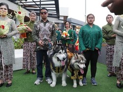10 Foto Pernikahan Anjing Viral Habiskan Rp 200 Juta, Digelar Pakai Adat Jawa
