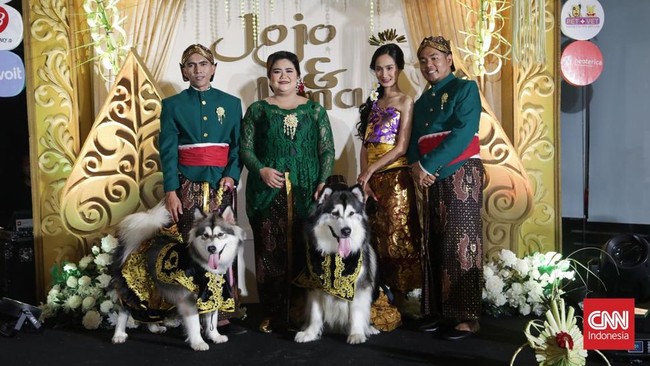 Pernikahan anjing yang menghabiskan biaya Rp 200 juta itu viral berawal dari unggahan akun Instagram @braveryindonesia. Dalam unggahan viral terlihat suasana acara pernikahan sepasang anjing. Para wanita pemilik anjing tampil rapi dengan kebaya dan sanggul. Sedangkan pria mengenakan beskap. Foto: Copyright Foto: (CNN Indonesia/Safir Makki).