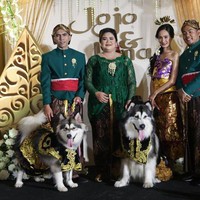 Pernikahan anjing yang menghabiskan biaya Rp 200 juta itu viral berawal dari unggahan akun Instagram @braveryindonesia. Dalam unggahan viral terlihat suasana acara pernikahan sepasang anjing. Para wanita pemilik anjing tampil rapi dengan kebaya dan sanggul. Sedangkan pria mengenakan beskap. Foto: Copyright Foto: (CNN Indonesia/Safir Makki).