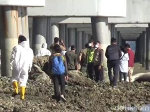 3 Bangkai Hiu Tutul Terdampar di Bangkalan, Temuan FKH Unair Ini Mengejutkan