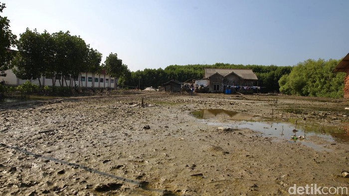 Desa Pantai Bahagia yang Tak Seindah Namanya, Jalanan Berlumpur-Rumah Rusak Penampakan salah satu rumah yang ditinggalkan oleh pemiliknya karena seringkali dihamtam abrasi di Desa Pantai Bahagia, Muara Gembong, Bekasi, Rabu (12/7/2023). Sekeliling rumahnya penuh lumpur dan genangan air laut.
