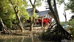 Potret Desa Pantai Bahagia yang Tak Seindah Namanya