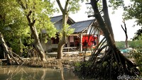 Tampak salah satu rumah warga yang berada di tengah hutan dan di himpit oleh air laut.