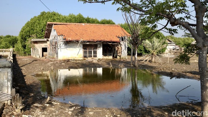 Penampakan salah satu rumah yang ditinggalkan oleh pemiliknya karena seringkali dihamtam abrasi di Desa Pantai Bahagia, Muara Gembong, Bekasi, Rabu (12/7/2023). Sekeliling rumahnya penuh lumpur dan genangan air laut.