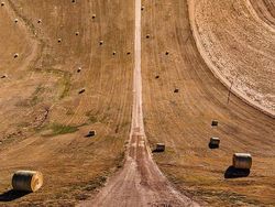 Aneka Foto Aneh Seperti Melawan Hukum Gravitasi