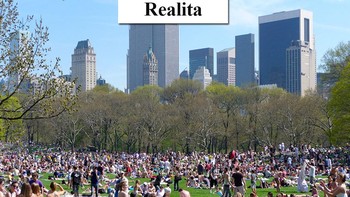 Sheep Meadow menjadi salah satu tempat favorit bagi warga New York untuk bersantai. Jangan jangan heran kalau dipenuhi oleh banyak orang. Foto: (Dok. Bored Panda).