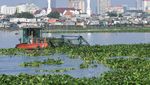 Gerebek Eceng Gondok di Waduk Pluit