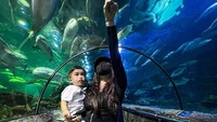 Ini dia salah satu momen family time mereka. Foto: instagram Nathalie Holscher