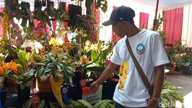 Pasuruan Orchids Festival 2023 digelar di Taman Dayu, Kecamatan Pandaan, Kabupaten Pasuruan. Ribuan bunga anggrek dari seluruh Indonesia adu kecantikan dalam festival skala nasional ini.