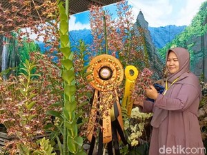 Ribuan Anggrek Adu Kecantikan di Pasuruan Orchids Festival 2023