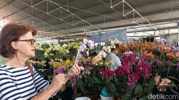 Pasuruan Orchids Festival 2023 digelar di Taman Dayu, Kecamatan Pandaan, Kabupaten Pasuruan. Ribuan bunga anggrek dari seluruh Indonesia adu kecantikan dalam festival skala nasional ini.