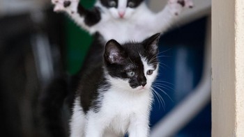 Ada yang mau bikin ngagetin nih ceritanya. Foto karya Michel Zoghzoghi. Foto: (Dok. Bored Panda).