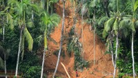 Jalan wisata ke puncak bukit Gunung Padang itu telah longsor beberapa hari lalu.  