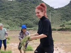 8 Potret Bule Italia Dinikahi Anak Petani, Pesonanya Saat Menanam Padi Viral