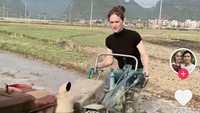 Dari peristiwa salah paham itulah benih cinta muncul di antara keduanya. Kini Menus bahagia hidup besama Kenon di kampung. Dia pun tak sungkat ikut bekerja menjadi seorang petani. (Foto: Dok. TikTok)