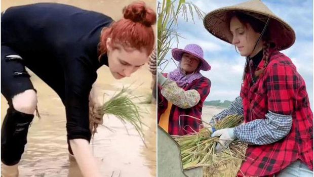 Bule Italia Jadi Petani
