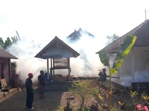 Januari hingga Juni 2023, DBD di Gianyar Capai 688 Kasus-1 Meninggal