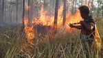 Hutan Jati Seluas 2 Hektare di Ngawi Terbakar