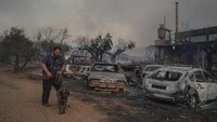 Kebakaran hutan tidak hanya menghanguskan lahan dan rumah penduduk, tapi juga sejumlah mobil warga. AP/Petros Giannakouris  