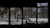 Layanan meteorologi Yunani telah memperingatkan risiko kebakaran yang tinggi minggu ini, saat negara itu pulih dari gelombang panas besar pertama di musim panas. Gelombang panas kedua diperkirakan terjadi akhir pekan ini. AP/Thanassis Stavrakis  