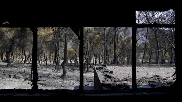Kebakaran Hutan Yunani Hanguskan Rumah dan Mobil Penduduk Charred trees are seen from inside a small burnt house after a fire swept the area in Mandra, west of Athens,
Wednesday, July 19, 2023. Fast-moving wildfires swept across hills in the searing heat outside the Greek capital on Tuesday, forcing authorities to close highways to help protect an oil refinery. Water-dropping airplanes and helicopters flew low though a blanket of smoke tinted orange by the sunset to try and contain two wildfires to the west of Athens before nightfall. (AP Photo/Thanassis Stavrakis)
