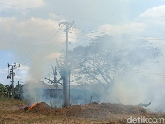 Kebakaran lahan kosong di jalan Jogja-Solo, Kecamatan Ceper, Klaten. Diunggah Kamis (20/7/2023).