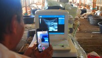 Dinas Peternakan Kabupaten setempat membuka layanan deteksi dini kebuntingan kambing dengan ultrasonogra (USG) secara gratis guna menekan waktu produksi yang hilang akibat infertilitas atau gangguan kesuburan pada hewan ternak dengan penanganan yang tepat.  
