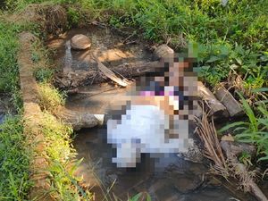 Perempuan Ditemukan Tewas di Parit Dekat Kuburan